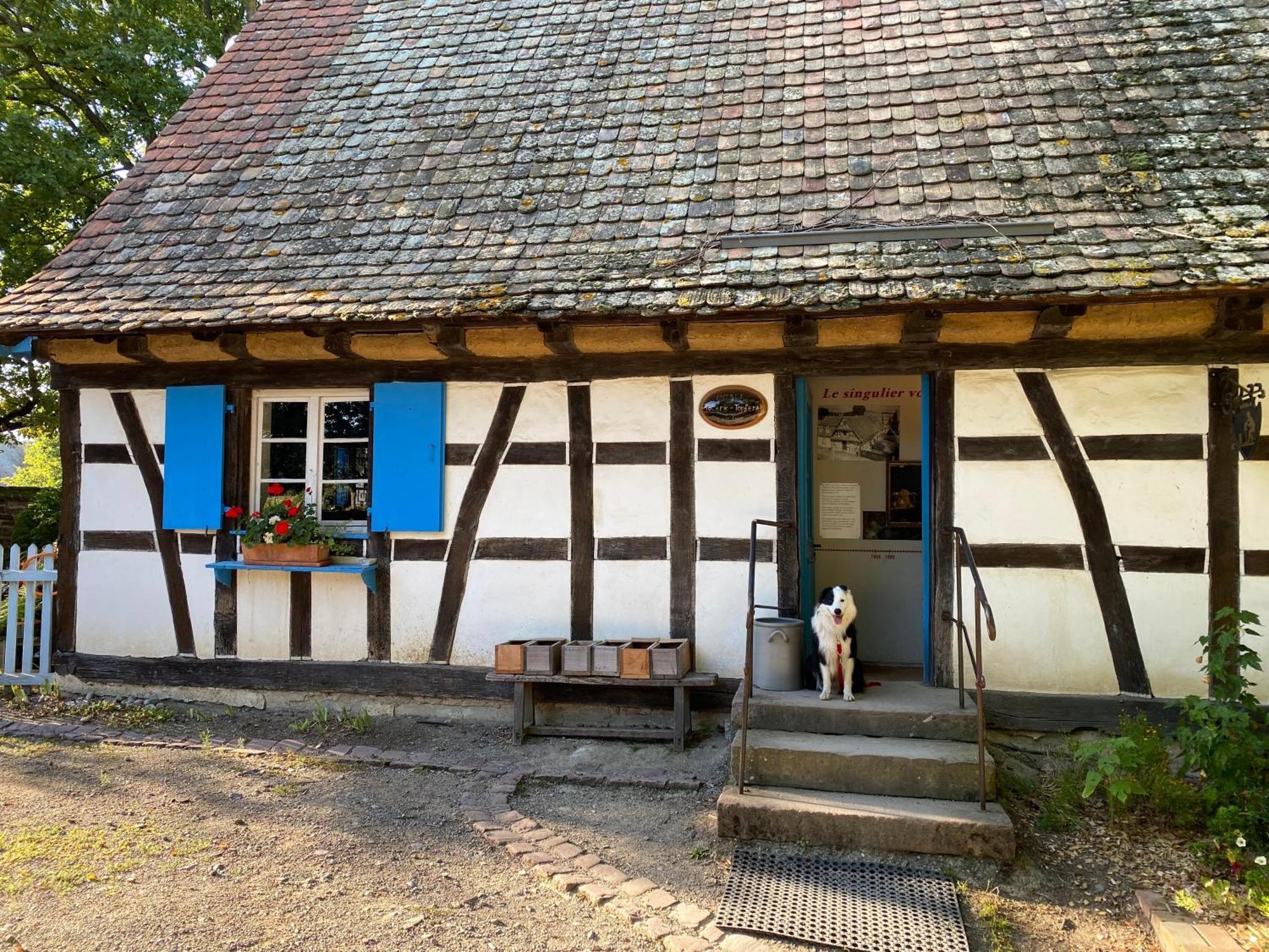 Chambres D'Hotes Des Cascades St-Nicolas Kruth Exteriör bild
