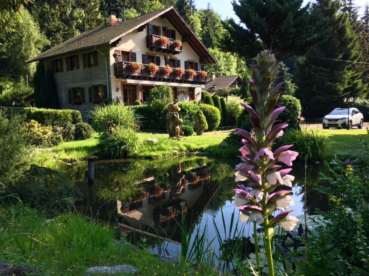 Chambres D'Hotes Des Cascades St-Nicolas Kruth Exteriör bild